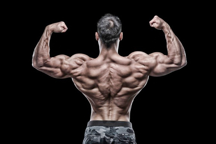 بهترین نکات برای عضله سازی و افزایش حجم عضلات